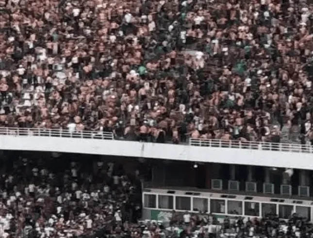 โศกนาฏกรรมฟุตบอลแอลจีเรีย: แฟนบอลเสียชีวิต-บาดเจ็บ เหตุรั้วกั้นถล่ม